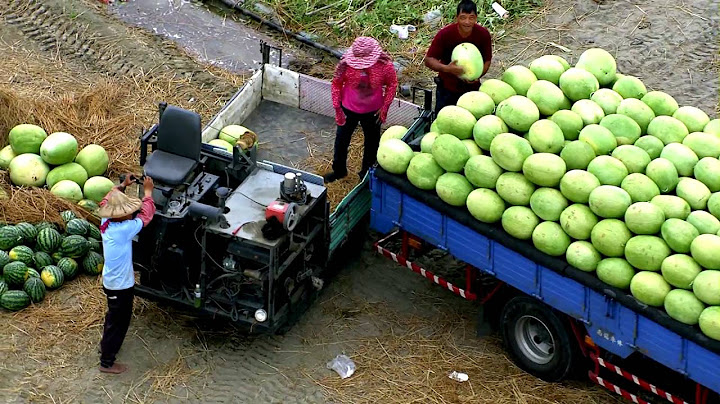 『天空からの招待状』予告編