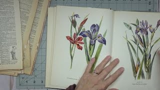 Let's Make a Junk Journal from Old Dictionary and Other Pages - Preserving Floral Papers