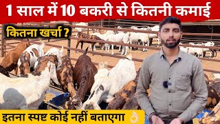 10 बकरी से कितनी कमाई । How To Start Goat Farm With 10 Goat