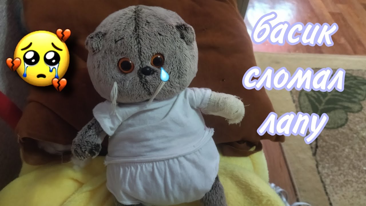 басик сломал лапу🥺