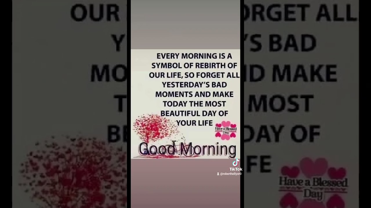 ❤️🧡💛💚💙🩵💜 