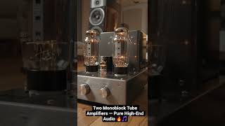 Two Monoblock Tube Amplifiers — Pure High-End Audio 🔥🎵 #hifi #audiophile #amplifier #Музыка #audio