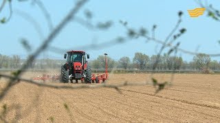 «Ас арқау». Қант қызылшасының алқабы