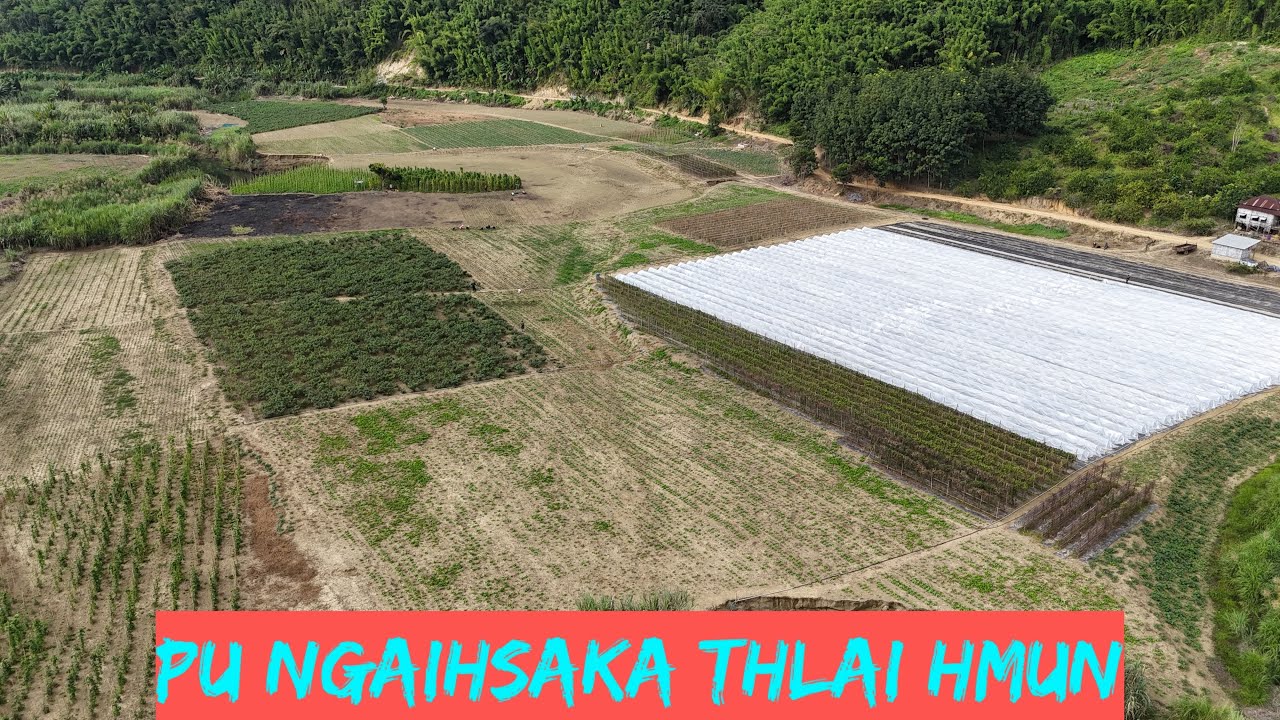 Serchhip pa taima-Pu Ngaihsaka thlai hmun,Serchhip Zawlpui