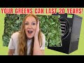 How To Make Shelf Stable Greens With a Freeze Dryer! // Instant Pot Recipe! image