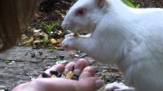 DSCF5940.AVI