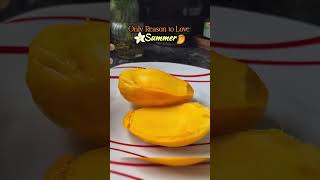 Best part of Summer 😘 #mango #manga #summervideo #summerspecial #mangoseason #food #shorts #yt