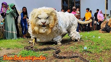 Can macanan Singo Raung cilik di undang acara haflatul imtihan | pertarungan melawan ular piton