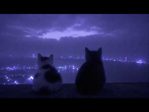 forget it, go to sleep.