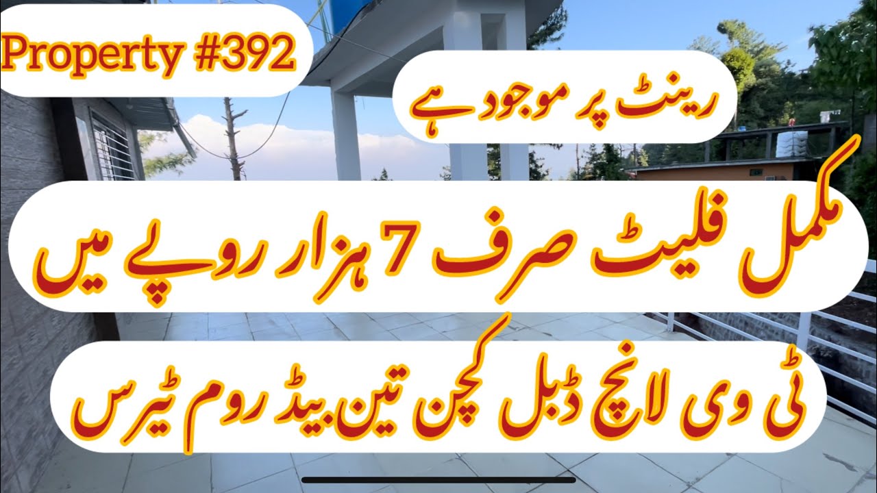 Three bedroom flat for rent in Murree || property #392 || Zafar Estate ||