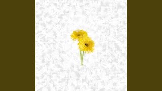 availum 116 (Fallen Heroes)