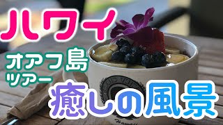 【ハワイ風景　動画】オアフ島の絶景スポット巡り