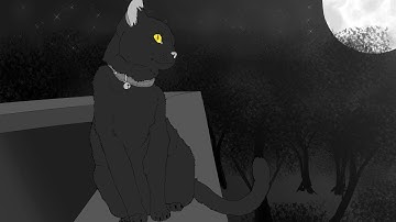 Everything Black MAP ( OPEN )