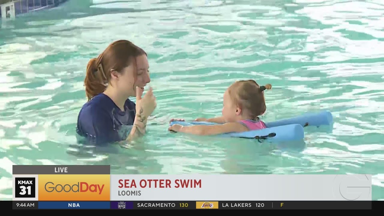 Sea Otter Swim YouTube