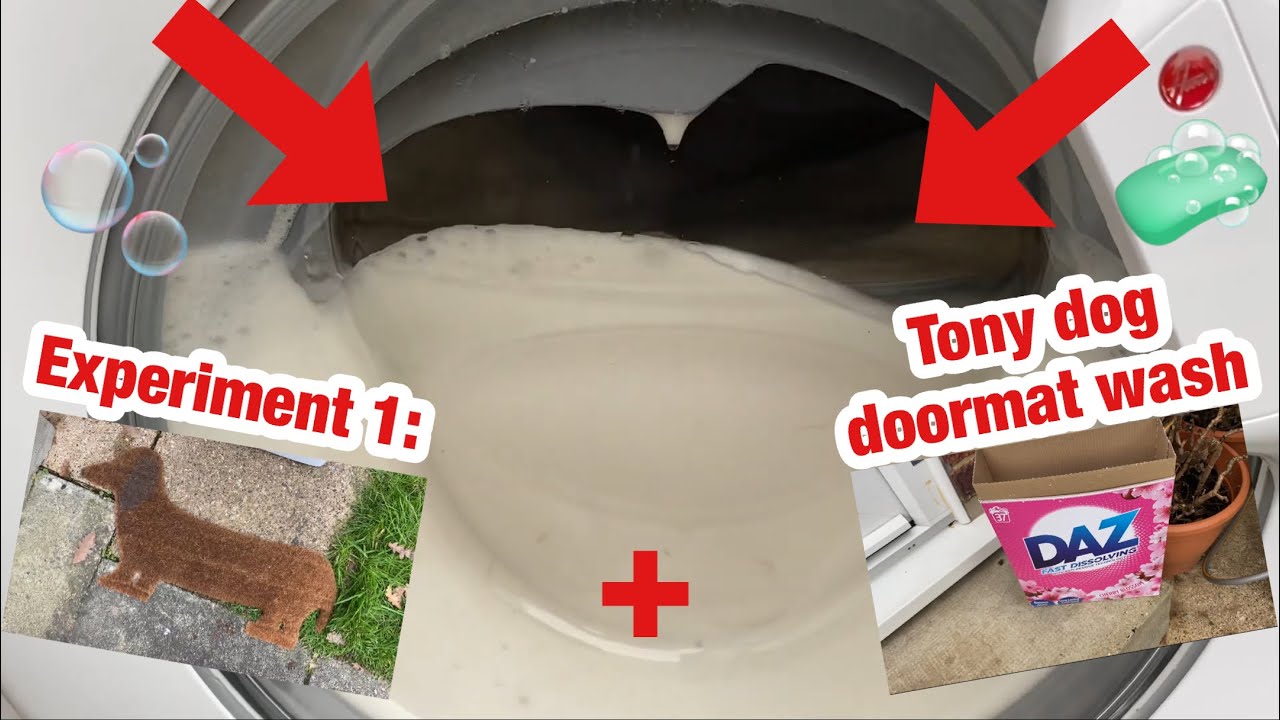 Hoover H3W69TME H wash 300 || Experiment 1: ‘Tony dog’ doormat being washed @WasherFanCZ