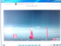 МАМС латеральные буи. IALA Lateral Buoys