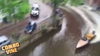 Combo Vine #48