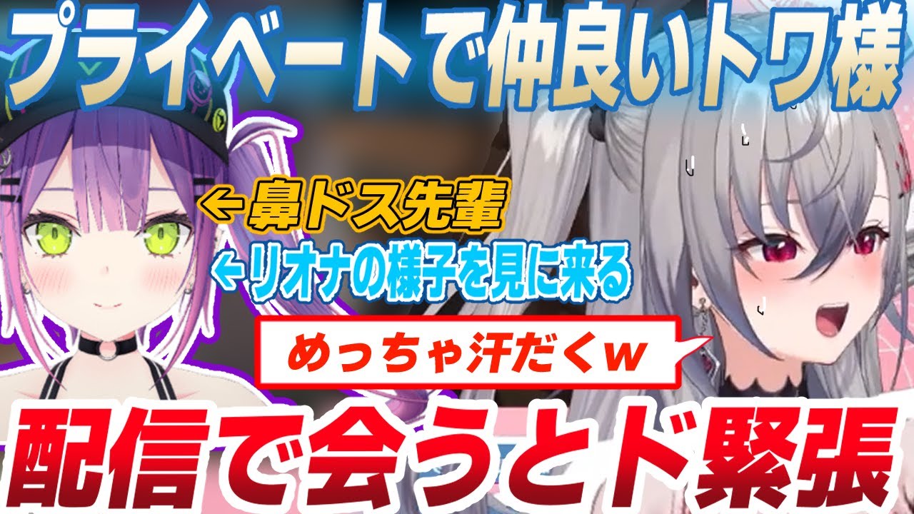 【#ホロ鯖サマーパーク】プライベートで仲良いトワ様に緊張する響咲リオナ+ホロメンとの交流を楽しむ【常闇トワ/ときのそら/星街すいせい/虎金妃笑虎/リオナ切り抜き/ホロマイクラ】