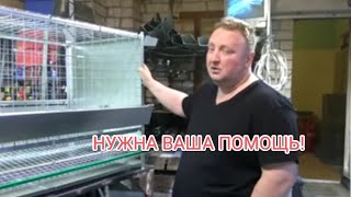 Требуется помощь!