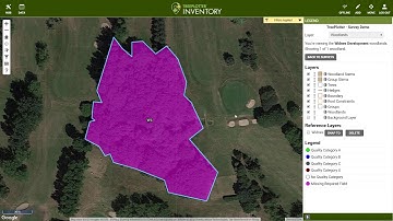 Development Survey (BS5837)