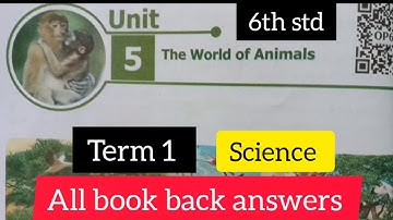 6th std  science unit 5 The world of animals // Term 1 // All book back answers #theworldofanimals