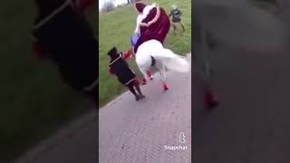 Sinterklaas Valt Voor De Verkeersregelaar shorts