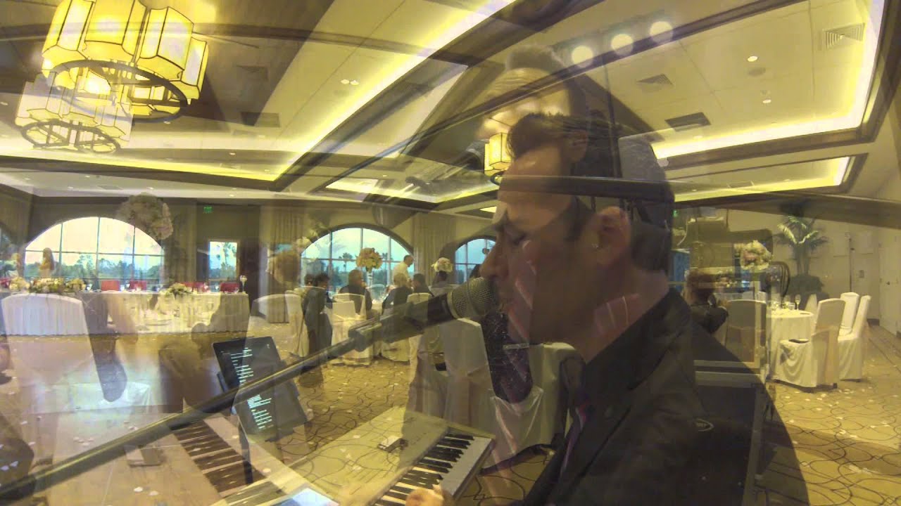 Live  Music  / The D Jay Company