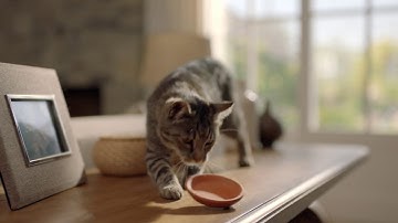 NEATO Botvac D7 Connected Product Overview - ITALIAN