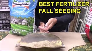 The Best Seed Starter - to Create a Perfect Lawn by Mr. Hardware 1,080 views 8 months ago 4 minutes, 37 seconds