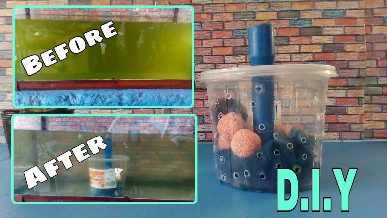 D.I.Y Air pump Filter. DIY Filter Aquarium filter YouTube