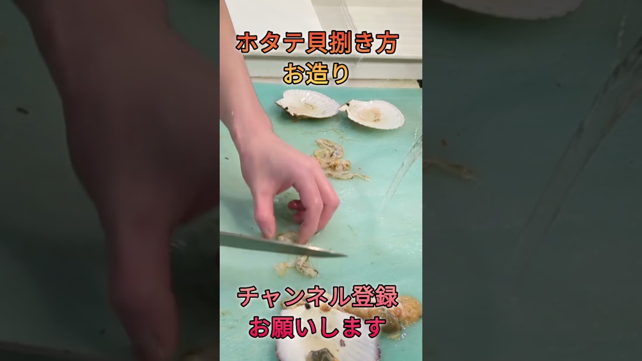 ホタテ貝お造り!#short #shorts #new #fish #japan #howto #おすすめ #簡単 #料理 #釣り #楽しい #美味しい