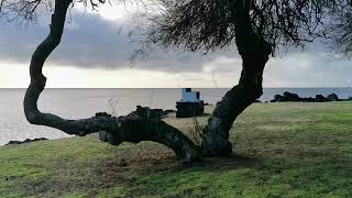 Ilha Terceira Açores, Vila de Porto Judeu.
