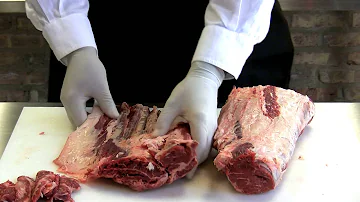 Jaké jsou samolepky pro ptáky?