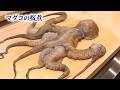 【板前が教える】マダコの柔らか煮の作り方