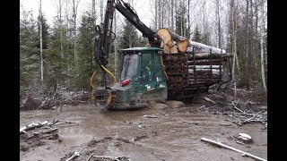 Timberjack 810B logging in wet winter forest