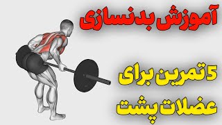 پنج تمرین زیر بغل | آموزش بدنسازی