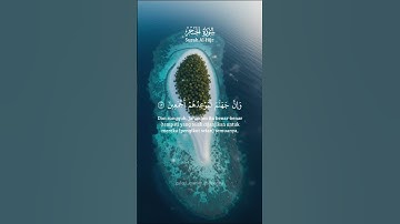 القرآن الكريم ربيع قلوبنا ونور صدورنا تلاوة خاشعة تريح القلب #قرآن #تلاوات #سبحان_الله #استغفر_الله