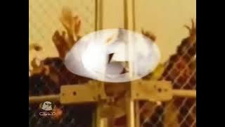 فاصل الطووس المدرسة - قناة الإمارات 2002-2008 - أحسن من خراشا يوسف طاشا السارق