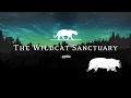 The wildcat sanctuarys pride prairie