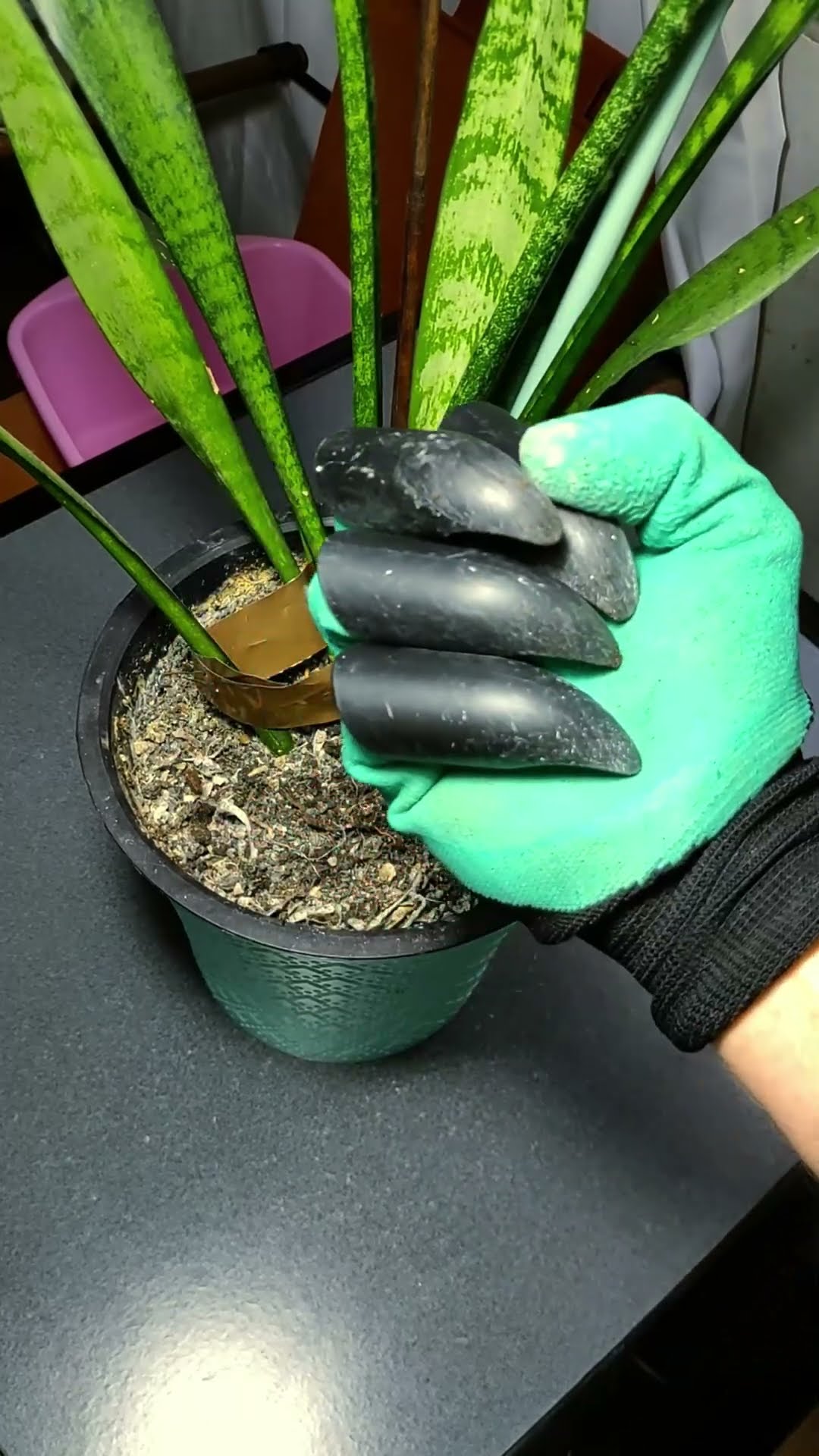 Garden Rubber Gloves with Fingertips Claws  - 9️⃣▶️ Product Link in Bio ( # 1858 )