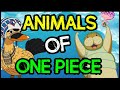 Animals Of The World: Big & Small - One Piece Discussion | Tekking101