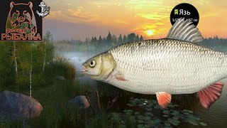 ЯЯЯЯЯЯЯЯЗЬ / оз. СТАРЫЙ ОСТРОГ ⚓ Русская Рыбалка 4