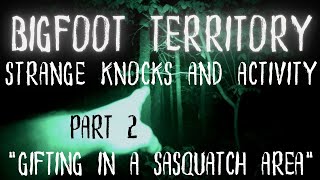 SASQUATCH TERRITORY | STRANGE KNOCKS AND ACTIVITY AT THE GIFTING AREA!