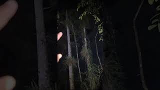Paranormal Live *2.2 • v23* Arasz @ Bukit Gasing Petaling Jaya Selangor Malaysia S23E02