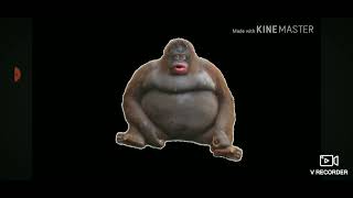 Uh Oh Stinky Songfrom Le Monkey