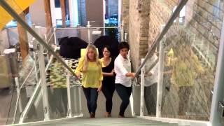 "Call Me Maybe" Intern Video