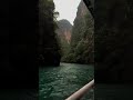 In another life..#saimverse #ytshorts #calmvibes #nature