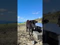 絶景！天空のふれあい牧場！八丈島の景色がキレイすぎた#shorts
