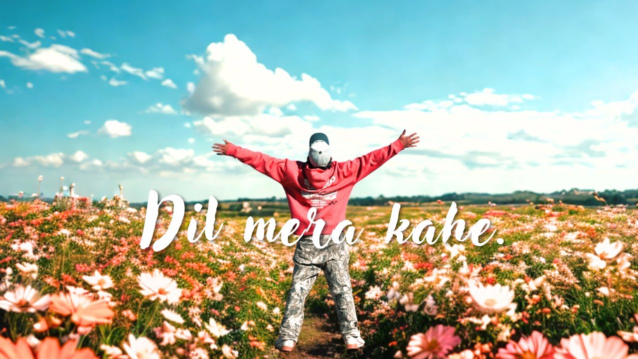 Dil mera kahe | The nature song | The Mango Tales