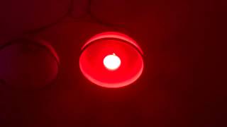 Умная Лампочка Колонка Bluetooth MuzLight screenshot 3
